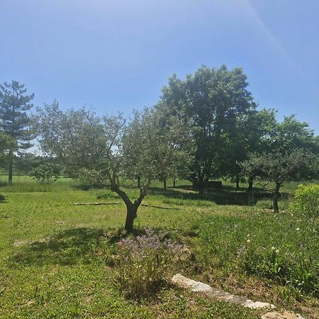 La Bastideta, Διαμέρισμα Fayence Εξωτερικό φωτογραφία