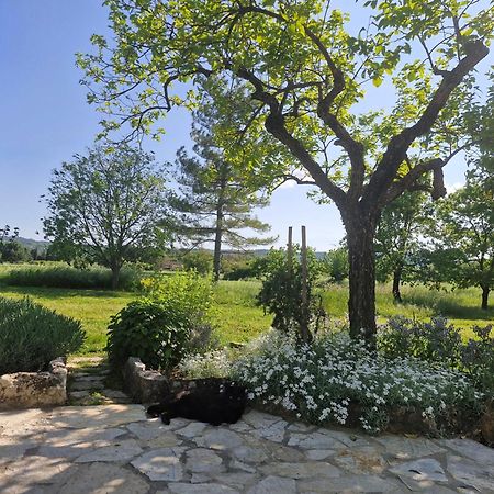 La Bastideta, Διαμέρισμα Fayence Εξωτερικό φωτογραφία