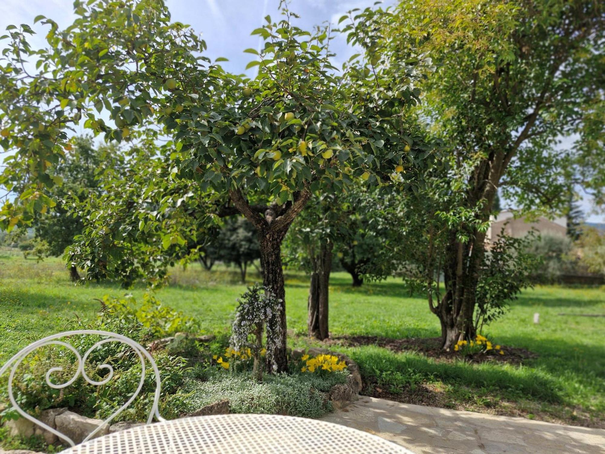 La Bastideta, Διαμέρισμα Fayence Εξωτερικό φωτογραφία