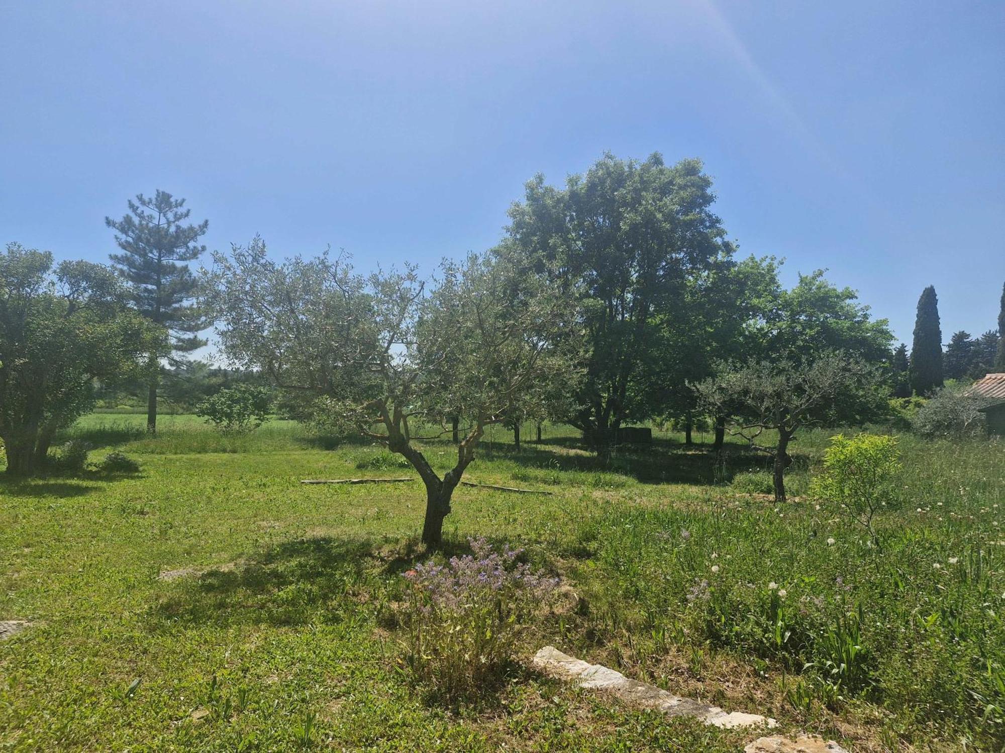 La Bastideta, Διαμέρισμα Fayence Εξωτερικό φωτογραφία